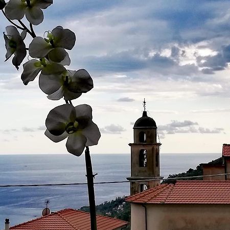 Dolci Risvegli Appartamento Vista Mare Ventimiglia Zewnętrze zdjęcie