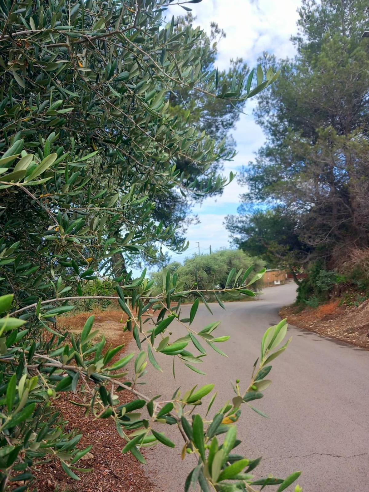 Dolci Risvegli Appartamento Vista Mare Ventimiglia Zewnętrze zdjęcie
