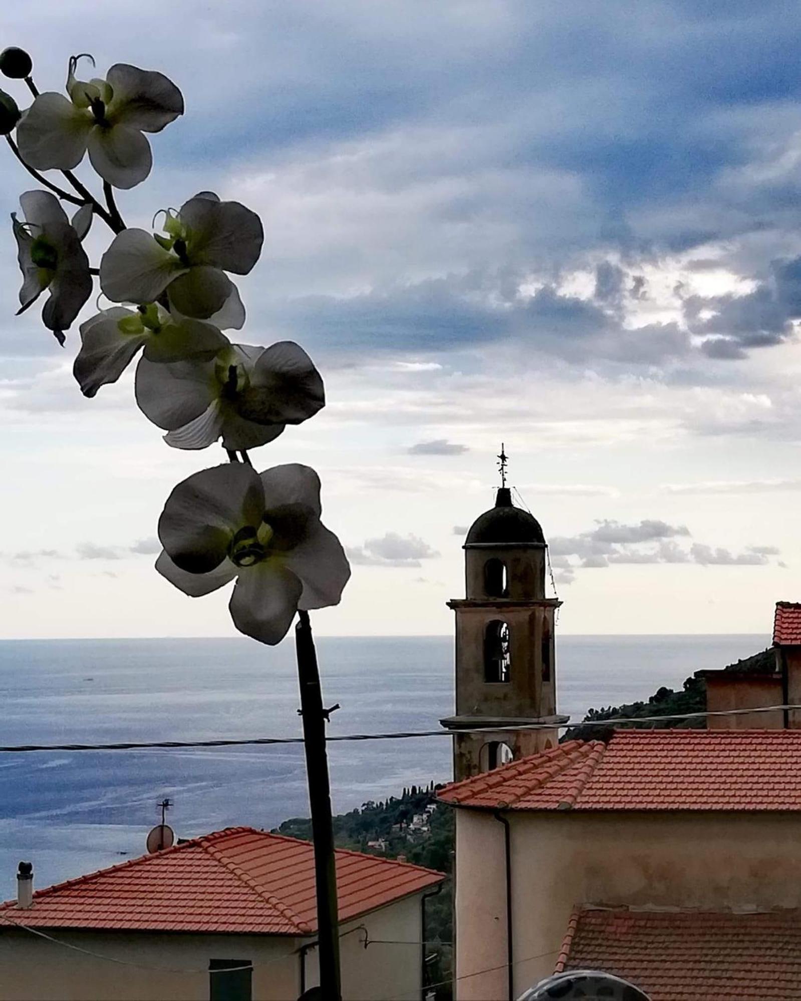 Dolci Risvegli Appartamento Vista Mare Ventimiglia Zewnętrze zdjęcie