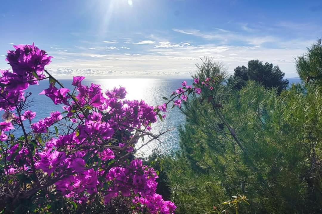 Dolci Risvegli Appartamento Vista Mare Ventimiglia Zewnętrze zdjęcie