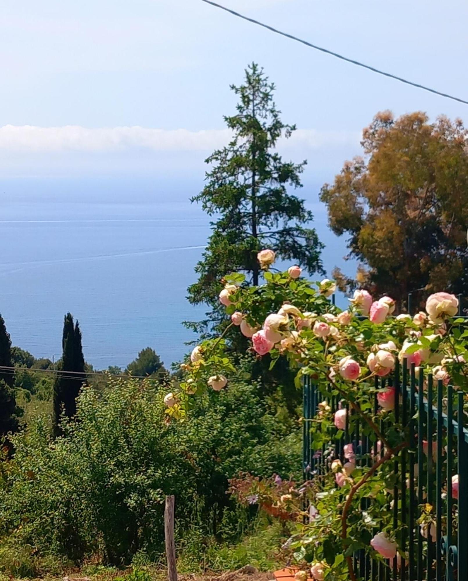 Dolci Risvegli Appartamento Vista Mare Ventimiglia Zewnętrze zdjęcie